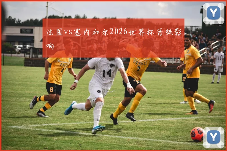 法国vs塞内加尔2026世界杯晋级影响