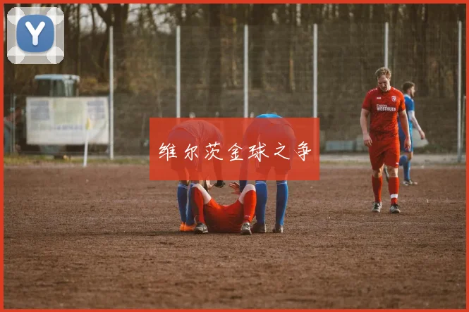 维尔茨金球之争