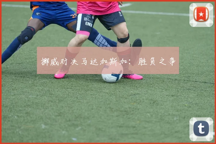 挪威对决马达加斯加：胜负之争