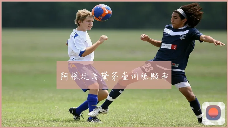 阿根廷马黛茶壶训练赔率