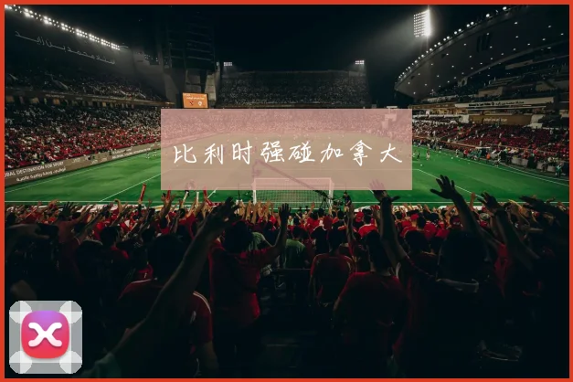 比利时强碰加拿大