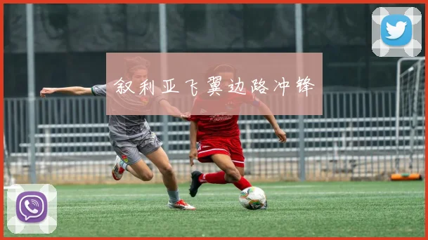 叙利亚飞翼边路冲锋
