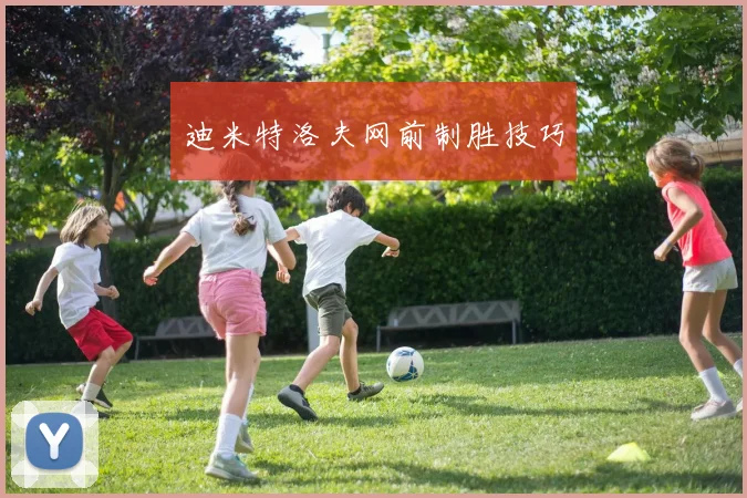 迪米特洛夫网前制胜技巧