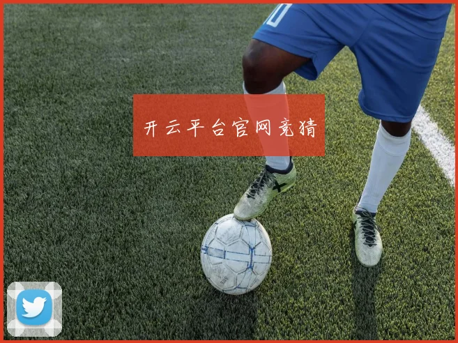 开云平台官网竞猜