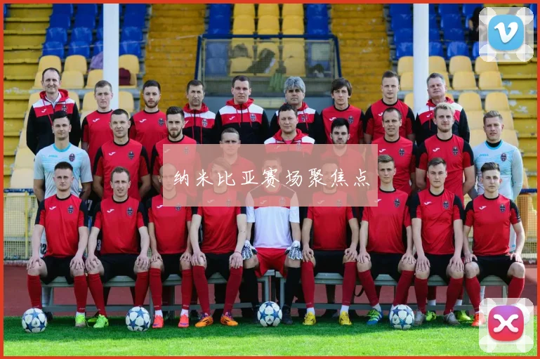 纳米比亚赛场聚焦点