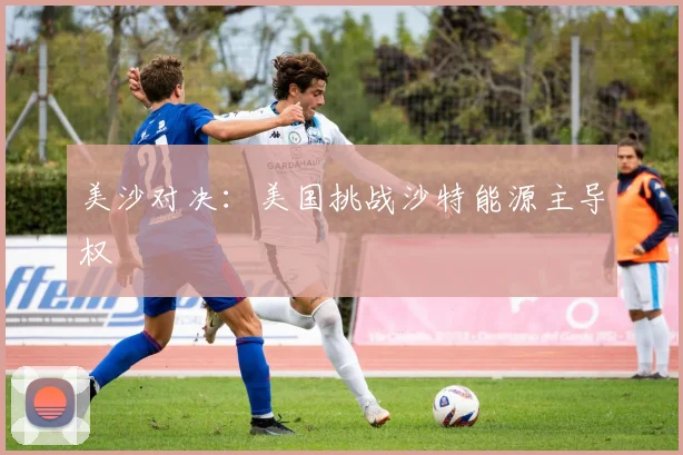 美沙对决：美国挑战沙特能源主导权