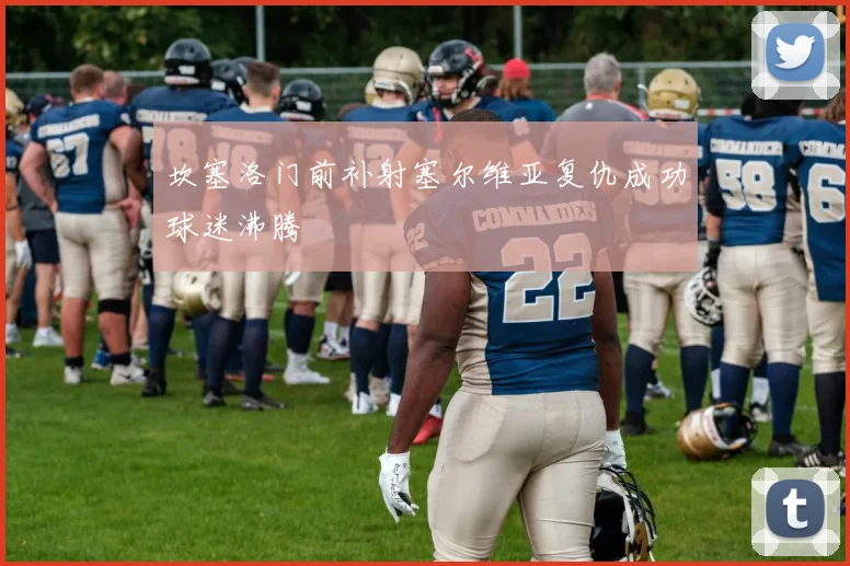 坎塞洛门前补射塞尔维亚复仇成功球迷沸腾