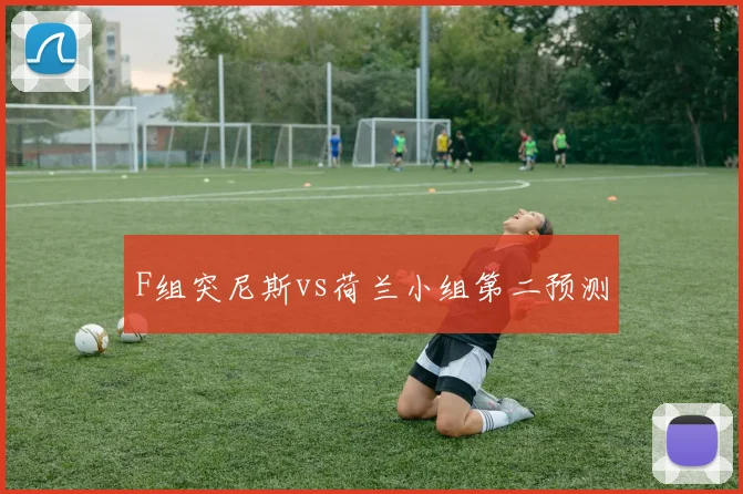 F组突尼斯vs荷兰小组第二预测