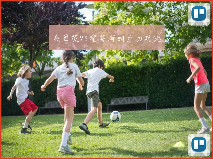 美因茨vs霍芬海姆主力对比