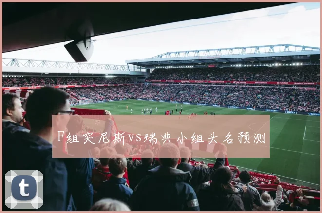 F组突尼斯vs瑞典小组头名预测