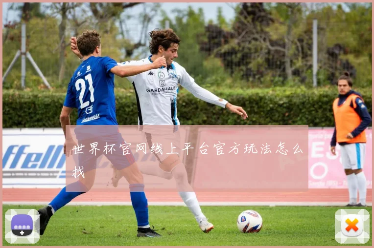 世界杯官网线上平台官方玩法怎么找
