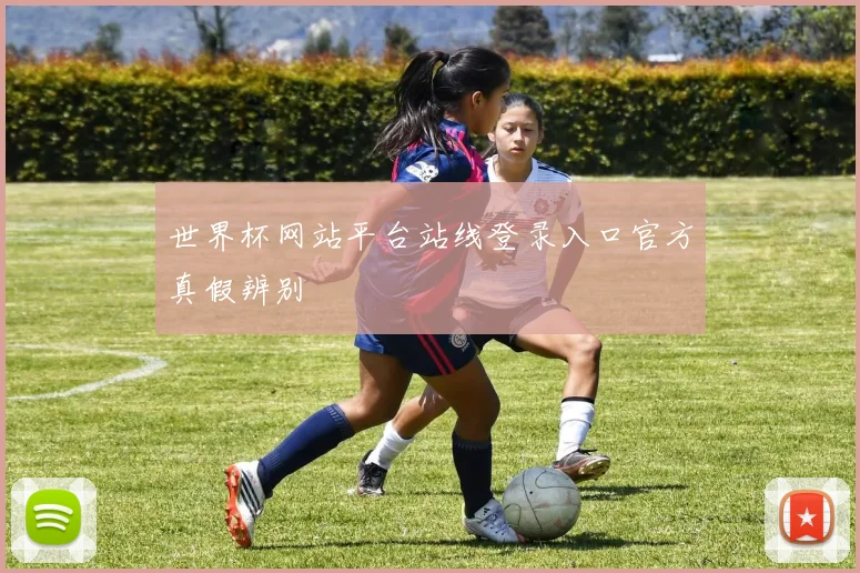 世界杯网站平台站线登录入口官方真假辨别