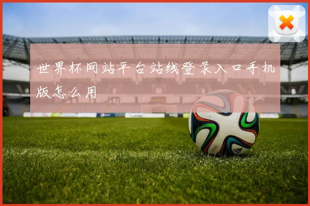 世界杯网站平台站线登录入口手机版怎么用